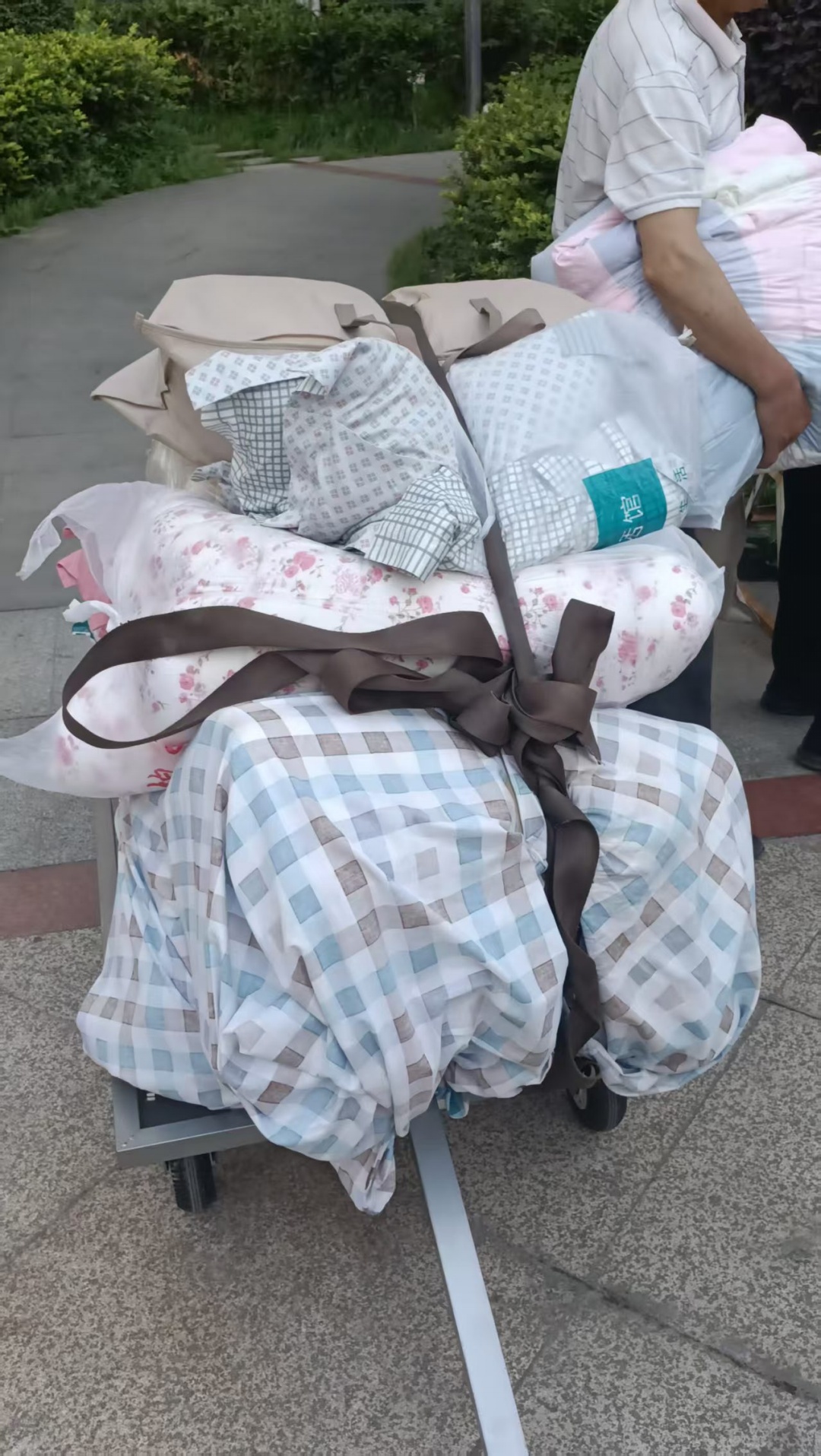 个人搬家-小件搬运-搬家推车